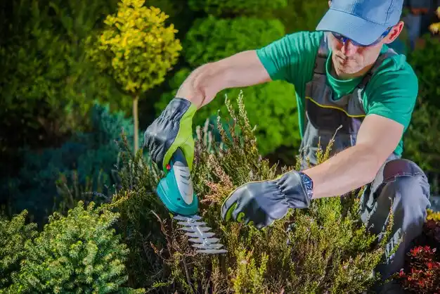 landscaping services River Rouge